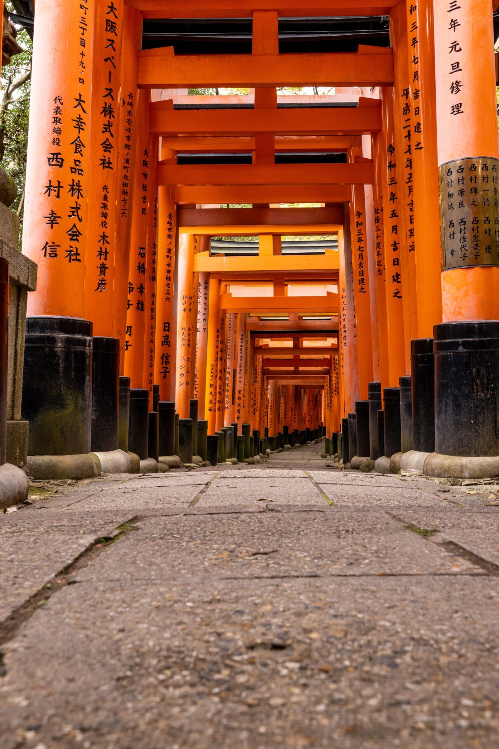 Torii gate tunnel path with a stone lantern at Fushimi Inari Taisha, Kyoto
