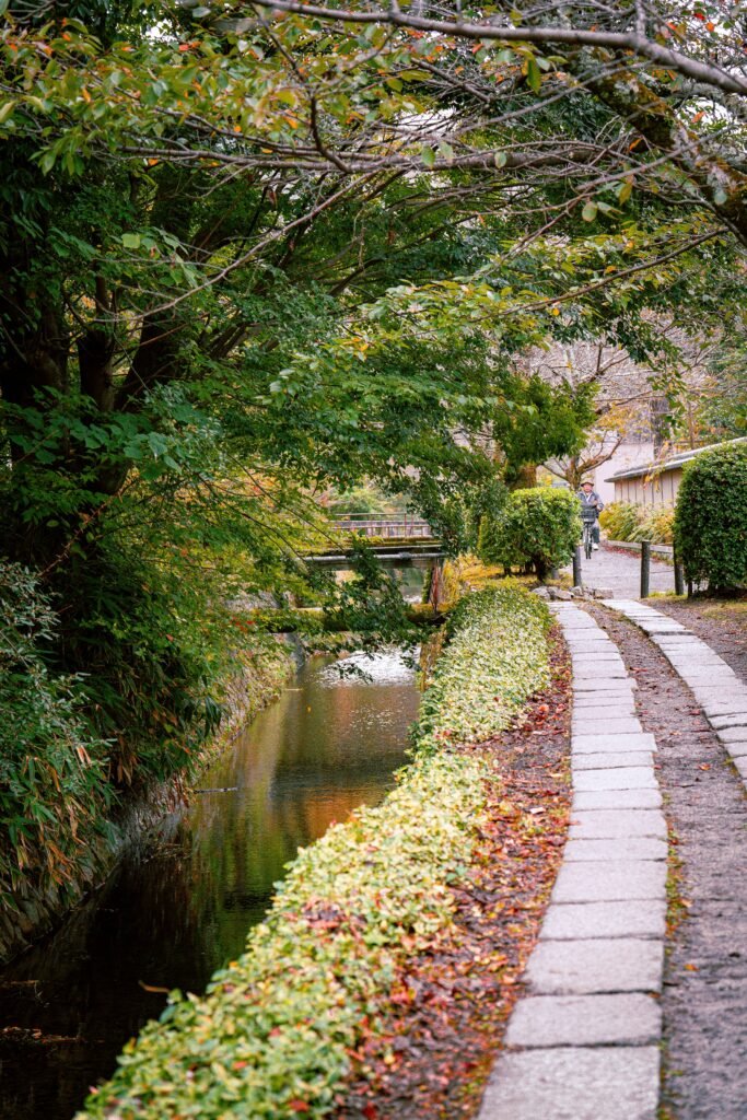 Autumn foliage along the canal-side Philosopher's Path in Kyoto