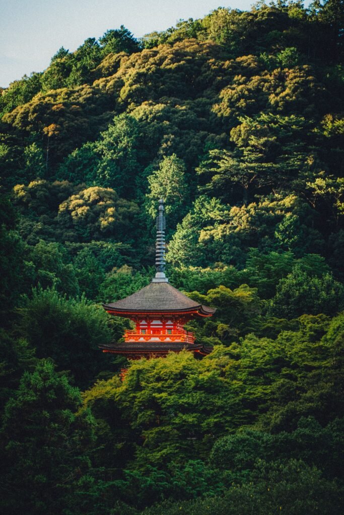 A pagoda on a wooded hillside, similar to the Tahoto pagoda view at Eikan-do