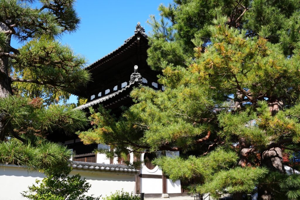 Tofuku-ji temple buildings surrounded by pine trees, Kyoto
