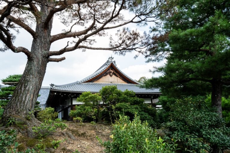 Kodai-ji: A Practical Guide to Kyoto’s Temple of Illuminations