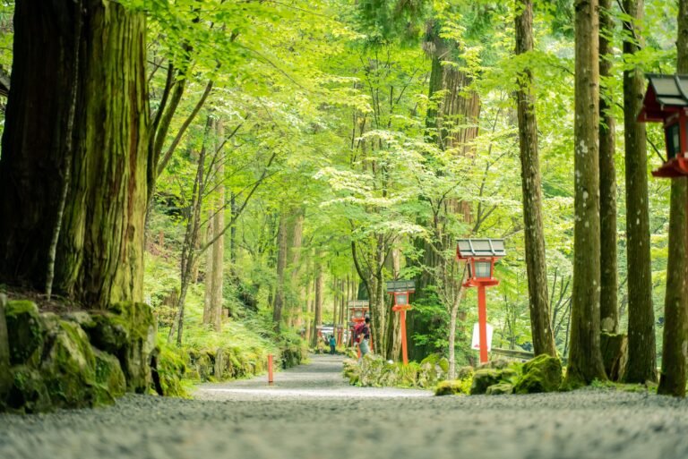 A Day Trip to Kurama and Kifune: A Practical Guide to Kyoto’s Mountain Shrine and Temple