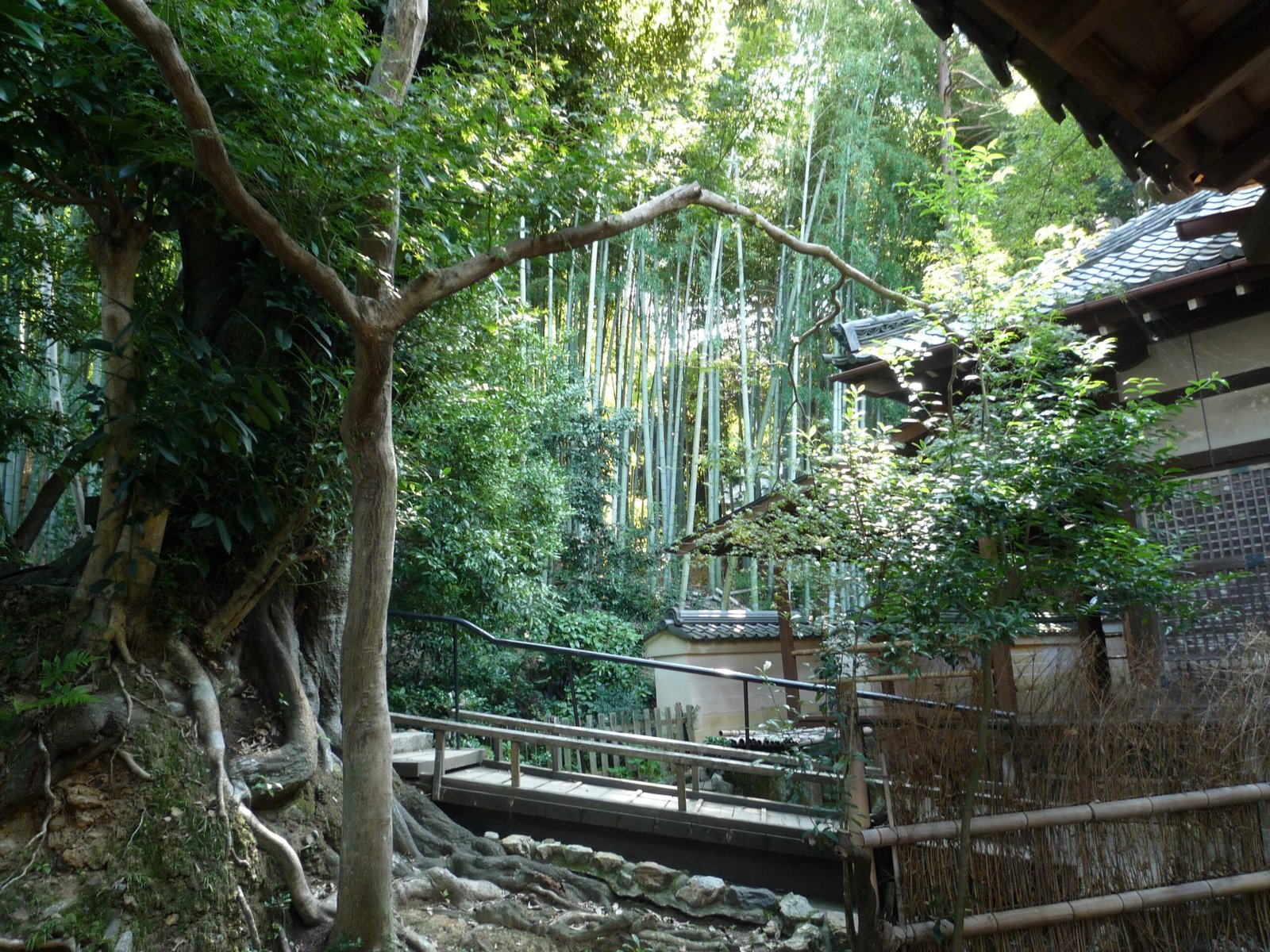 Garden view at Shoren-in temple, Kyoto