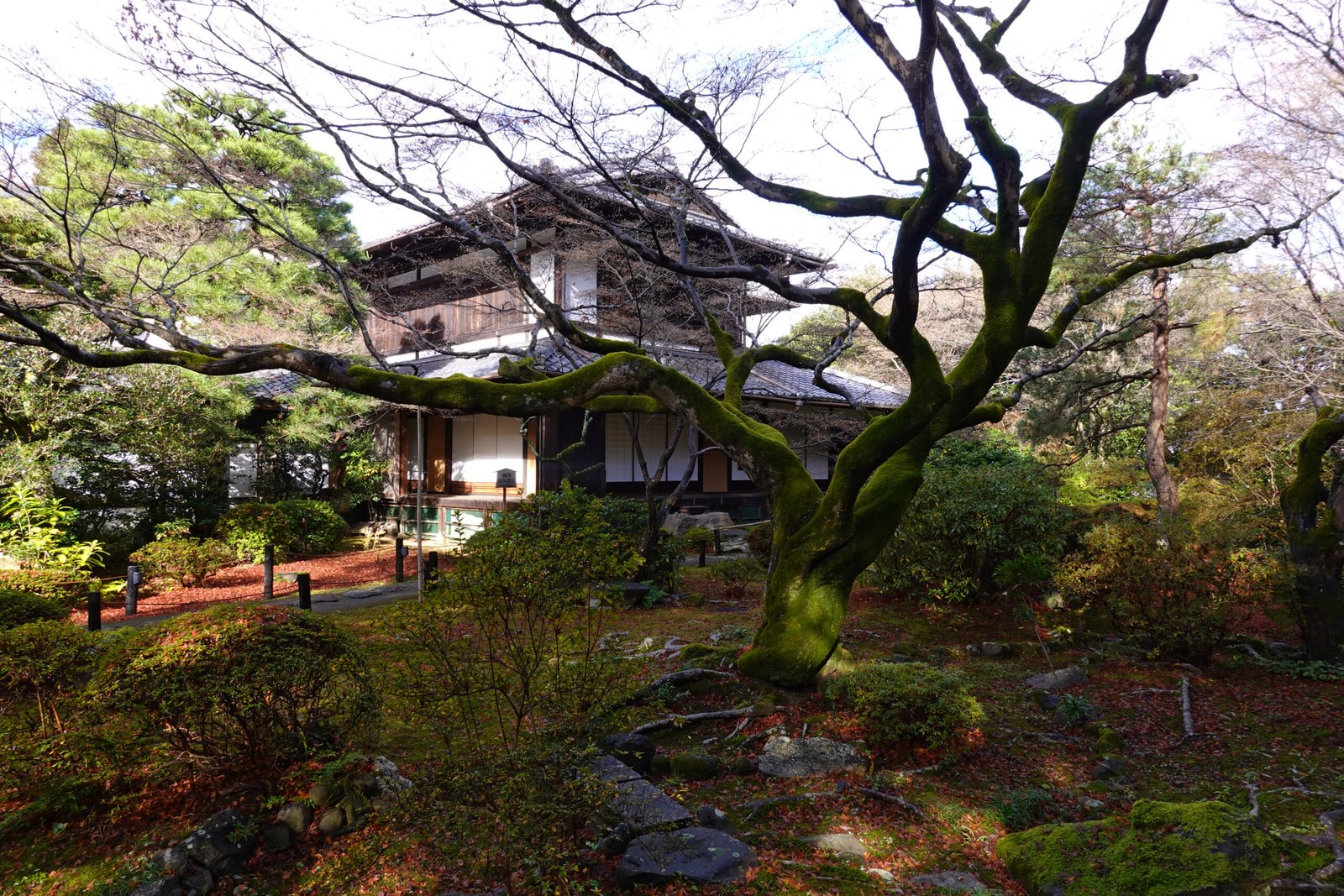 Shoren-in temple grounds and buildings, Kyoto