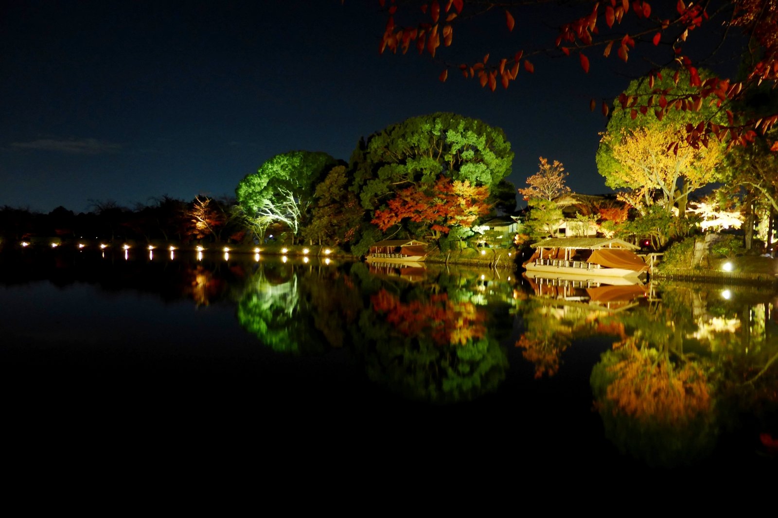 Osawa Pond at Daikaku-ji temple in Kyoto