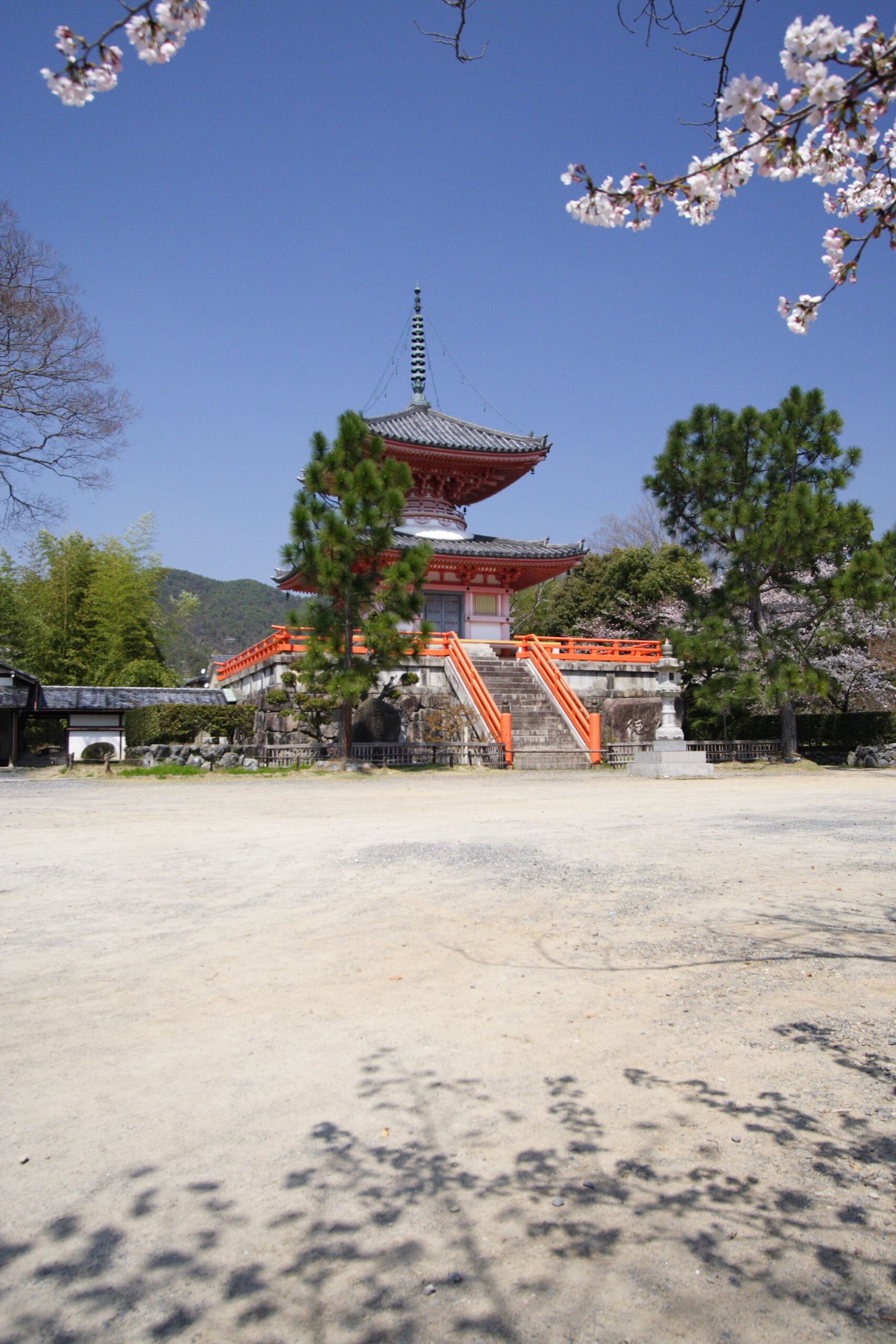Temple buildings and grounds at Daikaku-ji, Kyoto