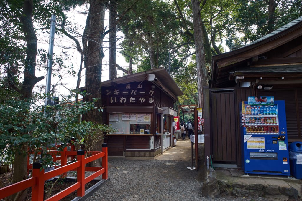 Iwatayama Monkey Park in Arashiyama, Kyoto