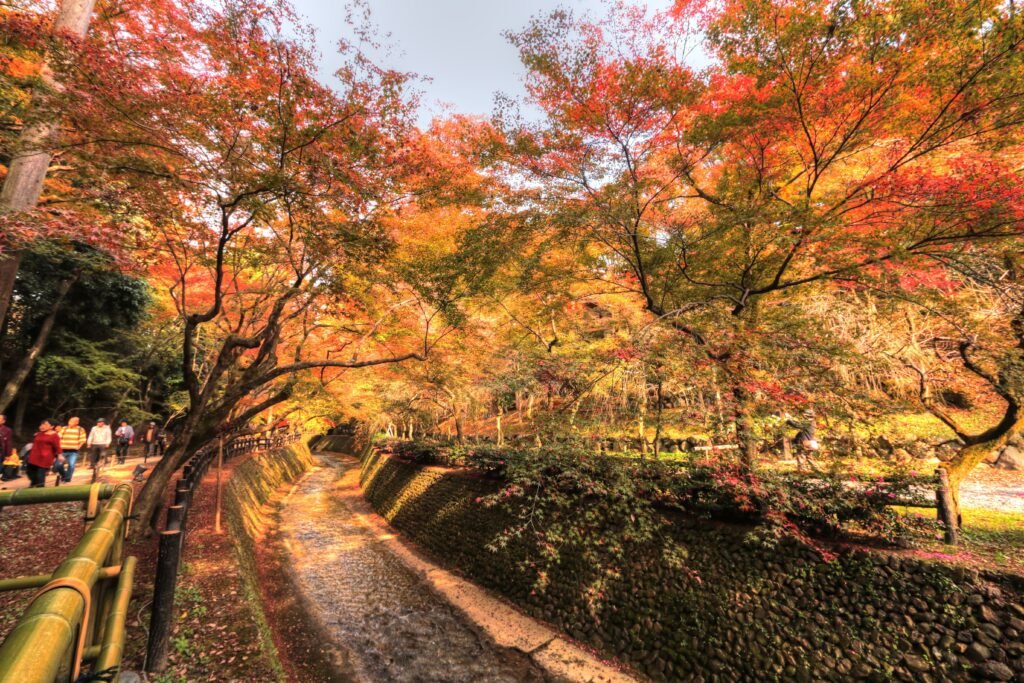 Kitano Tenmangu shrine buildings in Kyoto during the autumn festival season