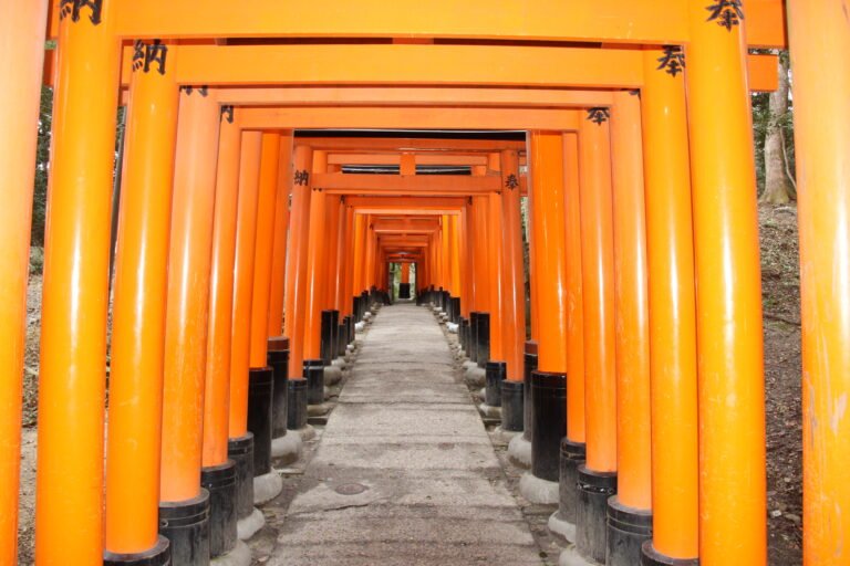 The torii gate tunnel at Fushimi Inari Taisha