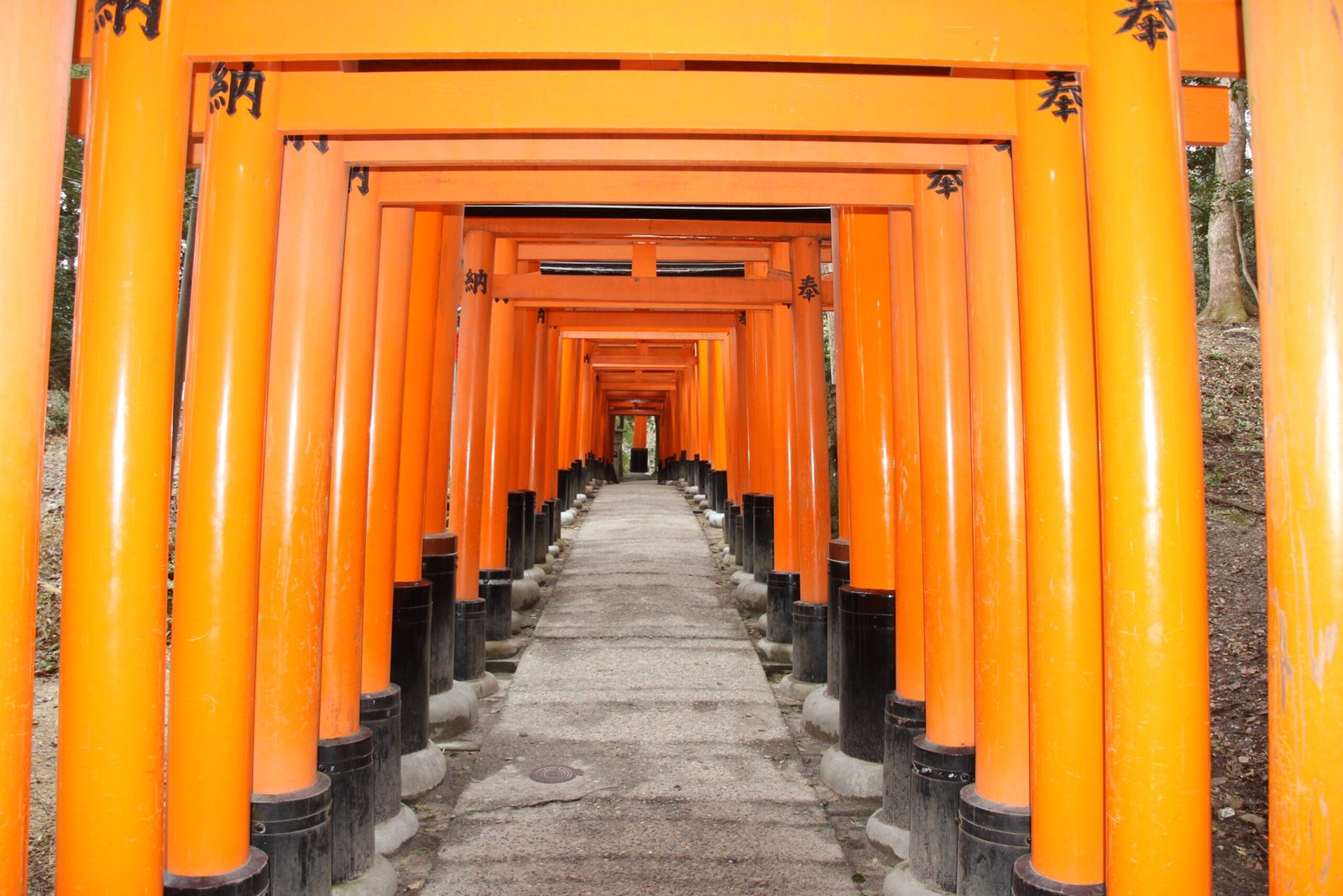The torii gate tunnel at Fushimi Inari Taisha