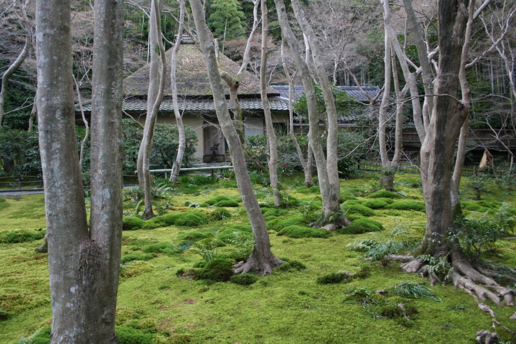 Moss-covered grounds and thatched hermitage at Gio-ji temple in Kyoto