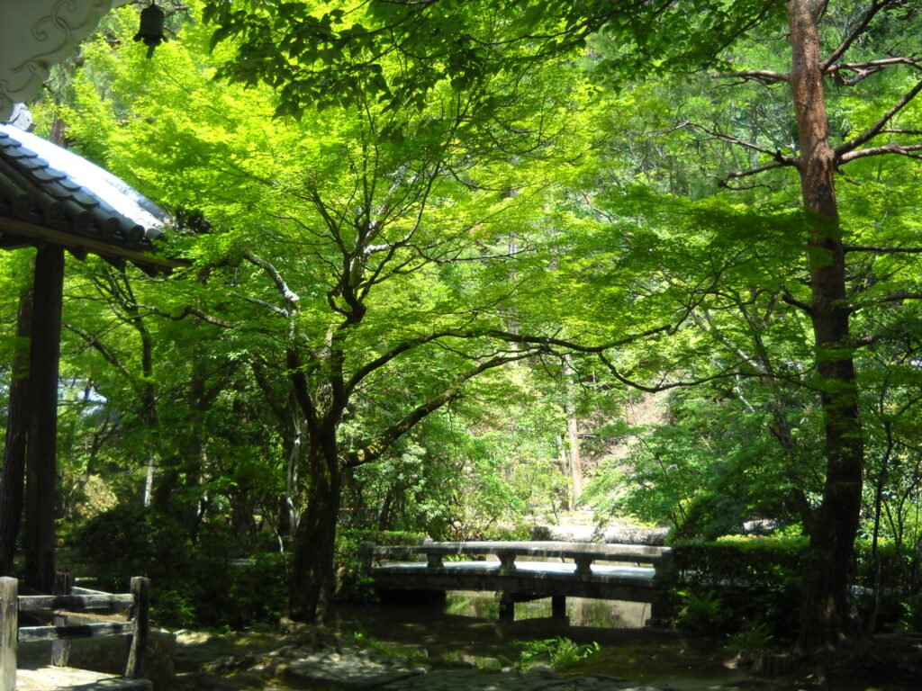 Moss garden and pond at Honen-in temple in Kyoto