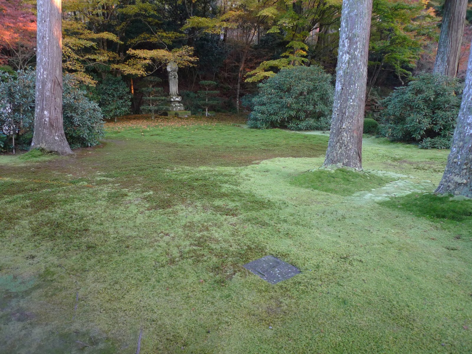 Moss garden at Sanzen-in Temple in Ohara, Kyoto