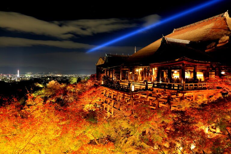 Kyoto Autumn Illuminations: A Practical Guide to Nighttime Maple Viewing