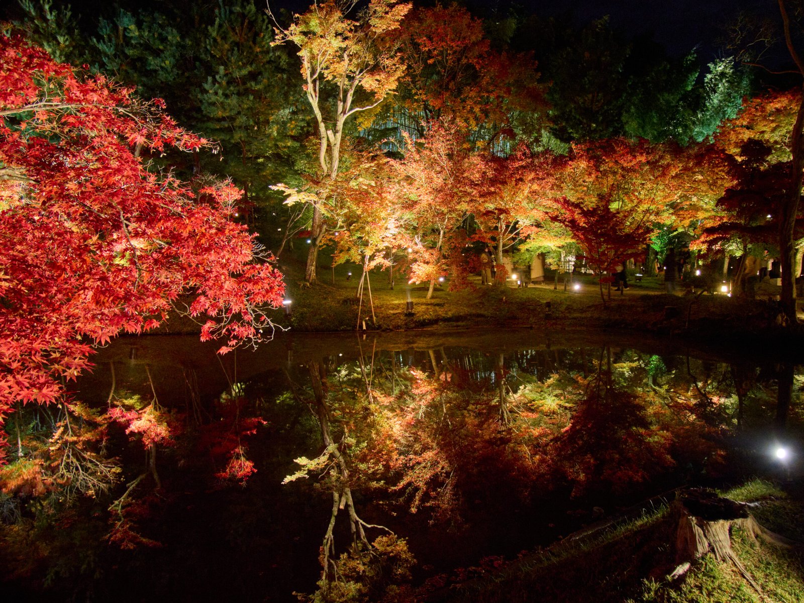 Garden at Kodai-ji temple in Kyoto