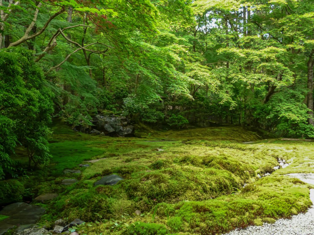 Japanese garden at Rurikoin temple in Kyoto
