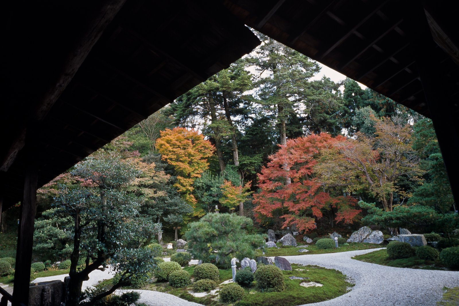 Autumn foliage in the garden at Manshu-in temple in Kyoto