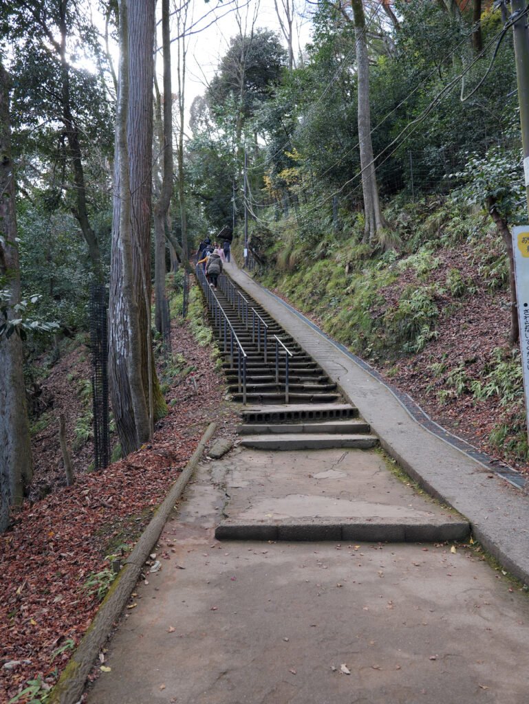 The wooded switchback trail leading up to Arashiyama Monkey Park Iwatayama