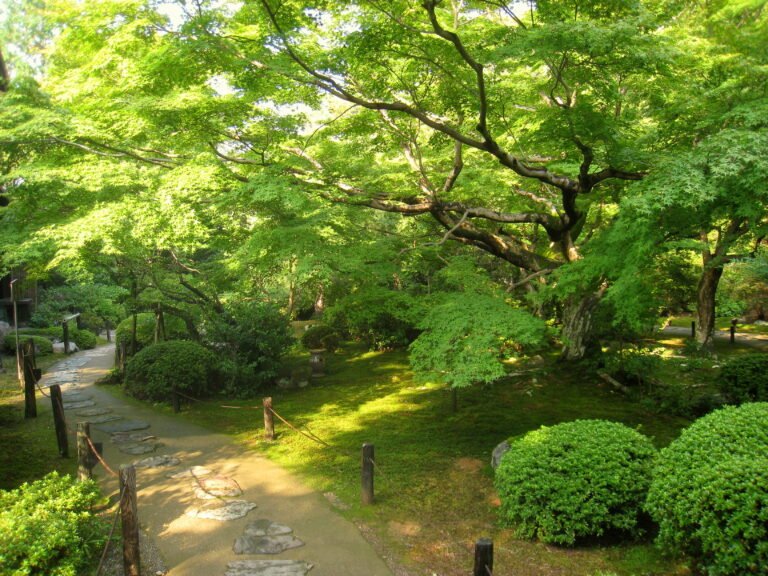 Shoren-in: A Practical Guide to Kyoto’s Blue-Lit Imperial Temple
