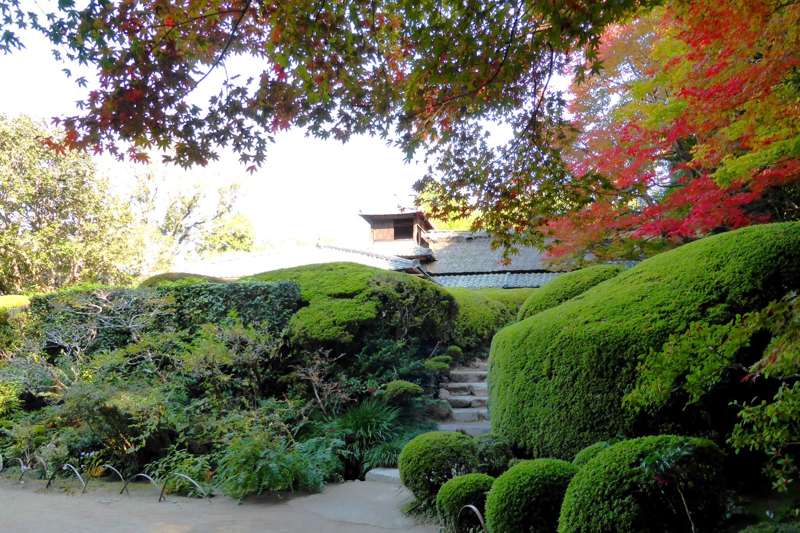 The garden at Shisen-do in Kyoto in autumn