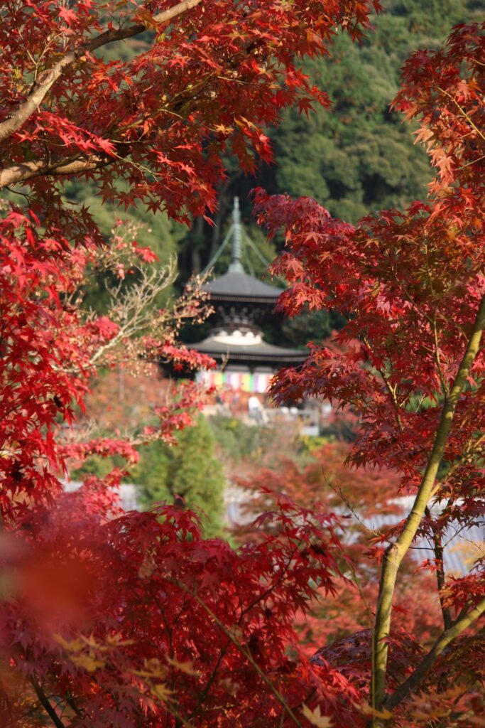 The Tahoto Pagoda at Eikan-do surrounded by autumn maple foliage in Kyoto
