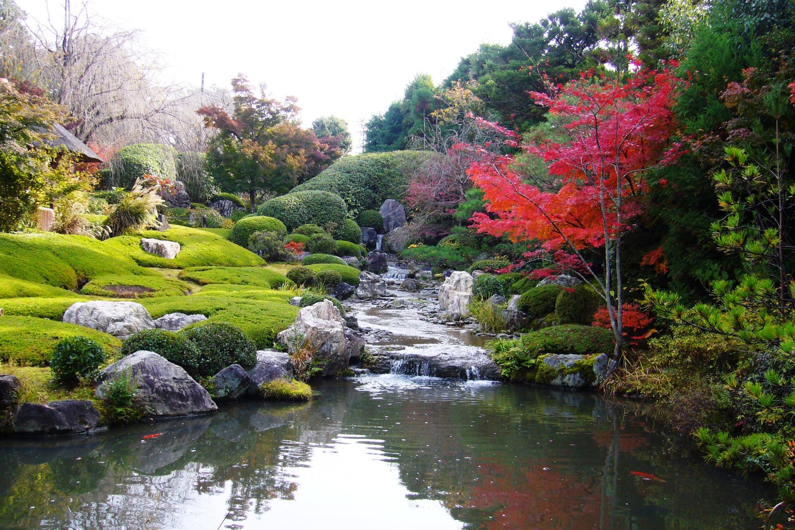 Taizo-in's Yoko-en pond garden at Myoshinji temple in Kyoto